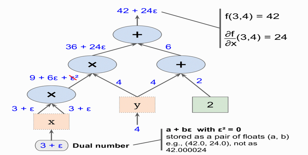  Forward Autodiff graph